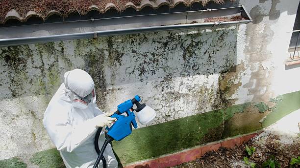 Top rated local Mold Removal specialists in Crofton, MD